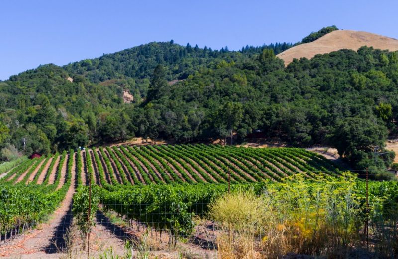 Santa Rosa, CA